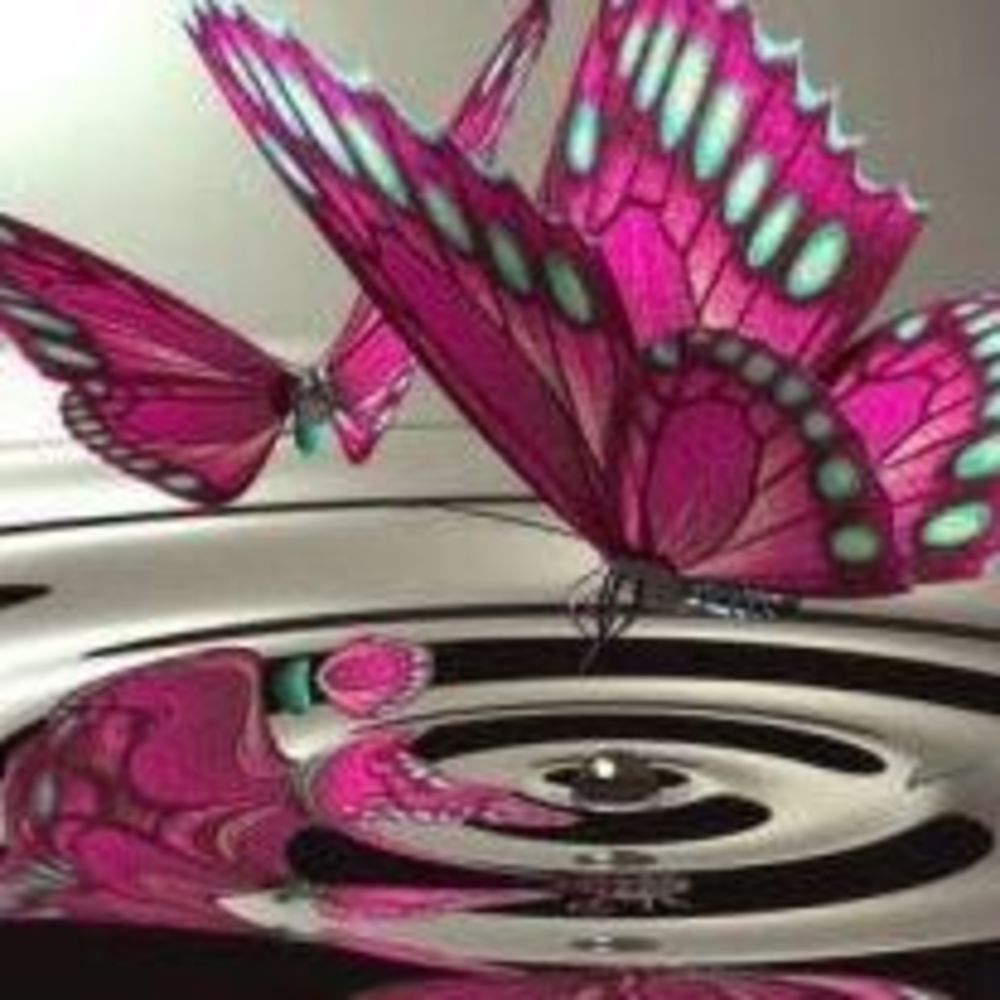 Meet your Posher, Rudina